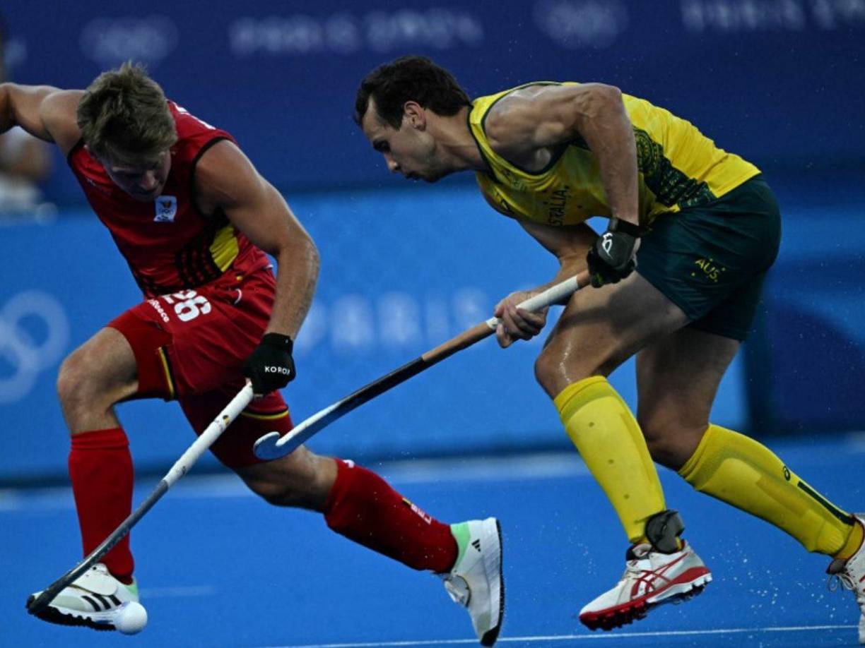 Teniendo en cuenta las cantidades de droga requisada, la investigación corre a cargo de la Brigada de Estupefacientes de la policía. 