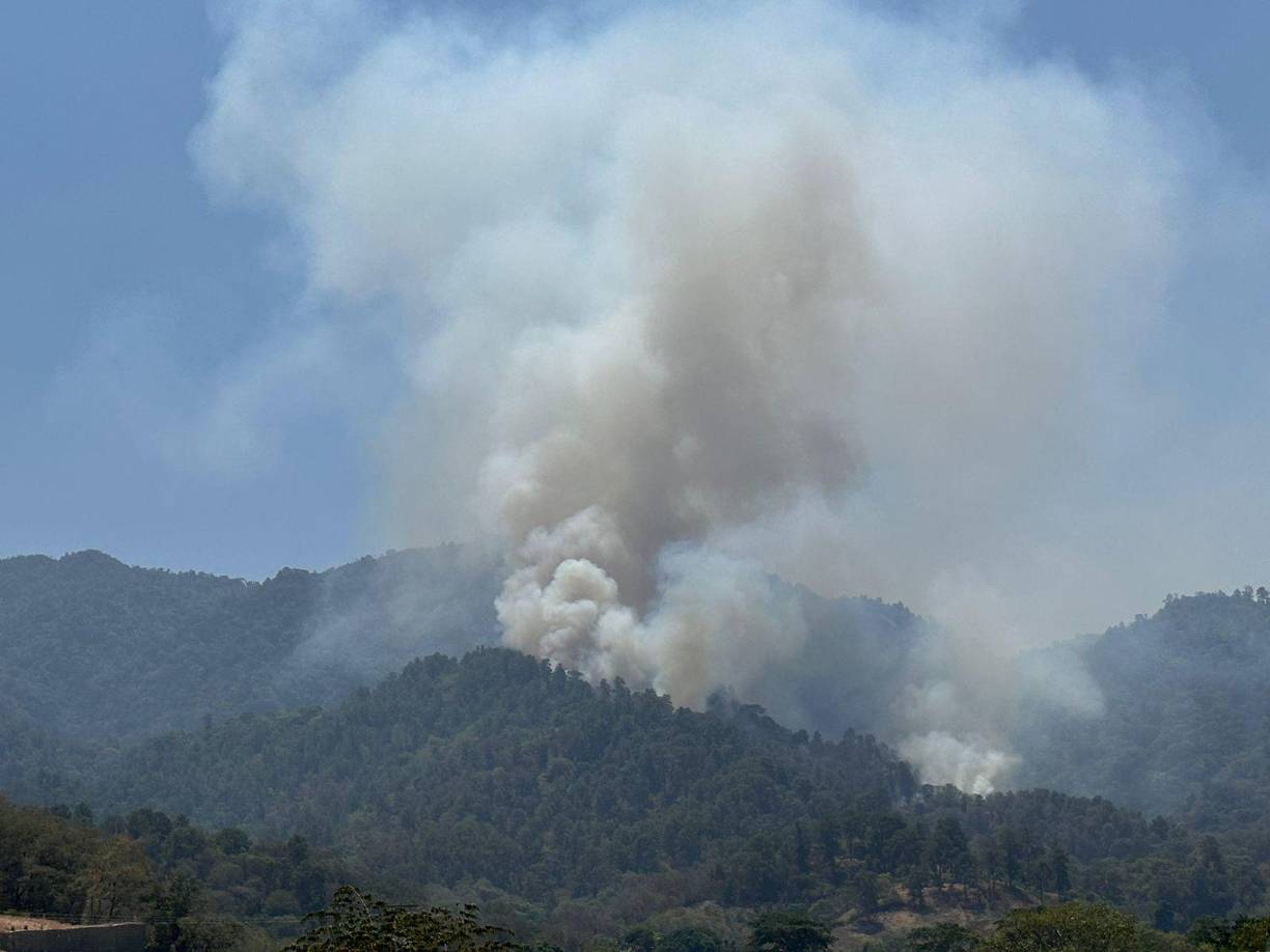 Personal del Cuerpo de Bomberos se desplazó al lugar del incendio para intentar controlar las llamas.