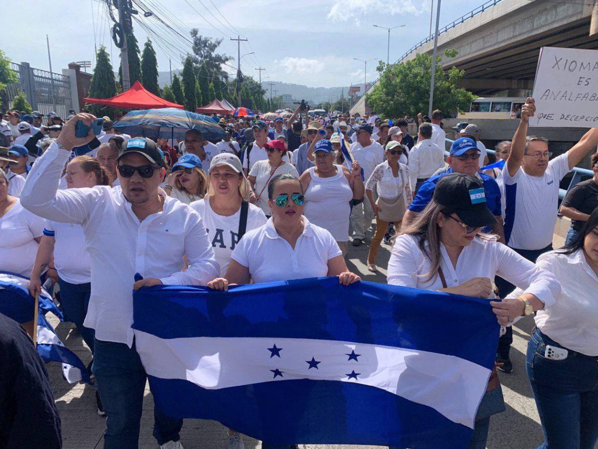 El bloque opositor es conformado por simpatizantes del Partido Nacional, Alianza Patriótica y Partido Salvador de Honduras. 