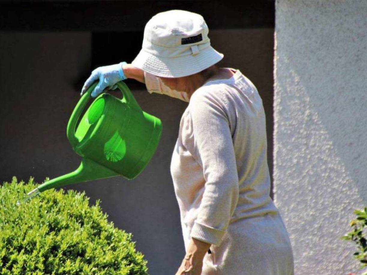 En Estados Unidos a los jardineros se los conoce como “greenskeeprs”. Algunas de sus tareas son cuidar y mantener las áreas verdes de parques, campos de golf y country club. Incluso propiedades privadas que requieran del servicio. Es una de las cuatro ocupaciones más solicitadas en EEUU.