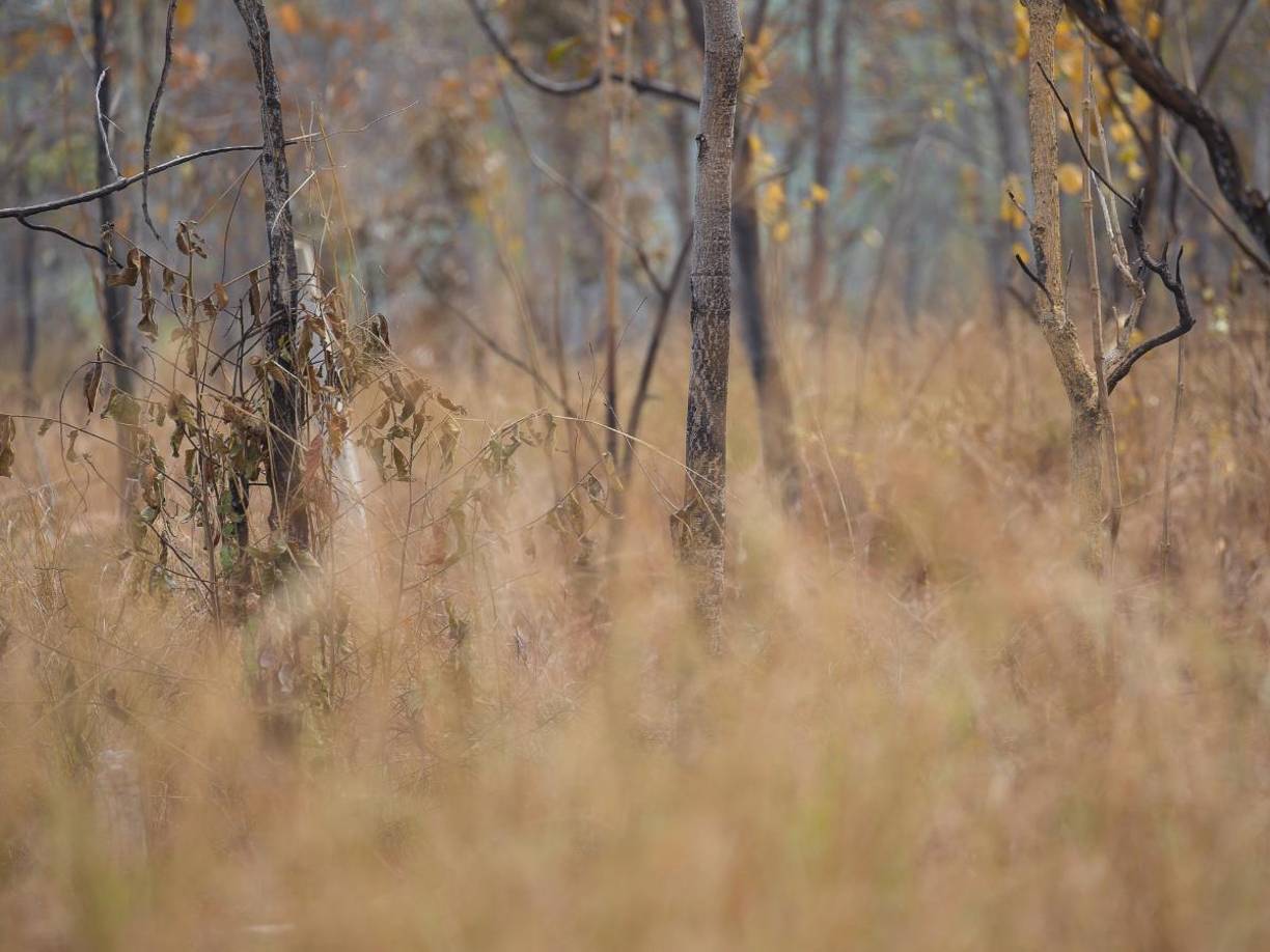 El joven de 18 años fue identificado como Edgar Josué Chiche Martínez de origen guatemalteco.