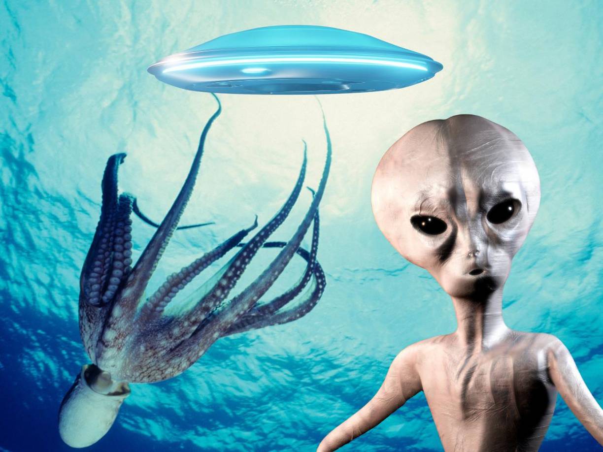 Las redes sociales se han viralizado con la nueva teoría que habla de los múltiples secretos que se encuentran en el fondo de los océanos.