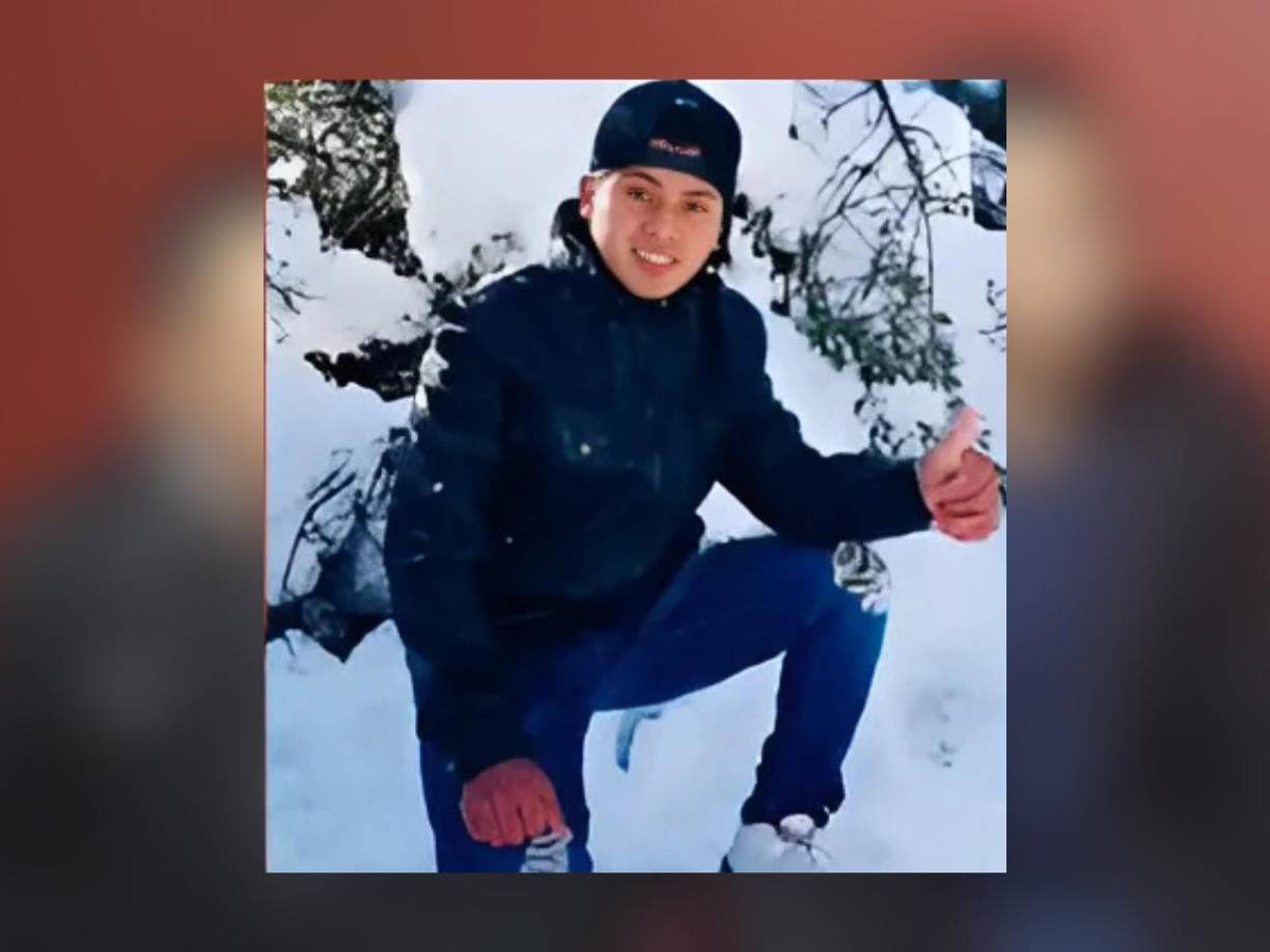 La empresa recomendó mantener al menos tres metros de distancia de los cables y solicitó que se contacte con ellos para apagar la electricidad de forma temporal si se realizan trabajos similares. 