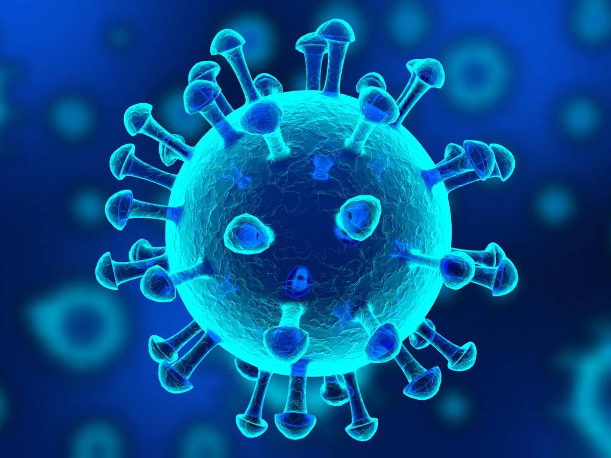 El parvovirus humano B19 se caracteriza por una evolución en tres etapas: dolor de cabeza, fiebre malestar estomacal, mocos en exceso y erupciones rojizas.