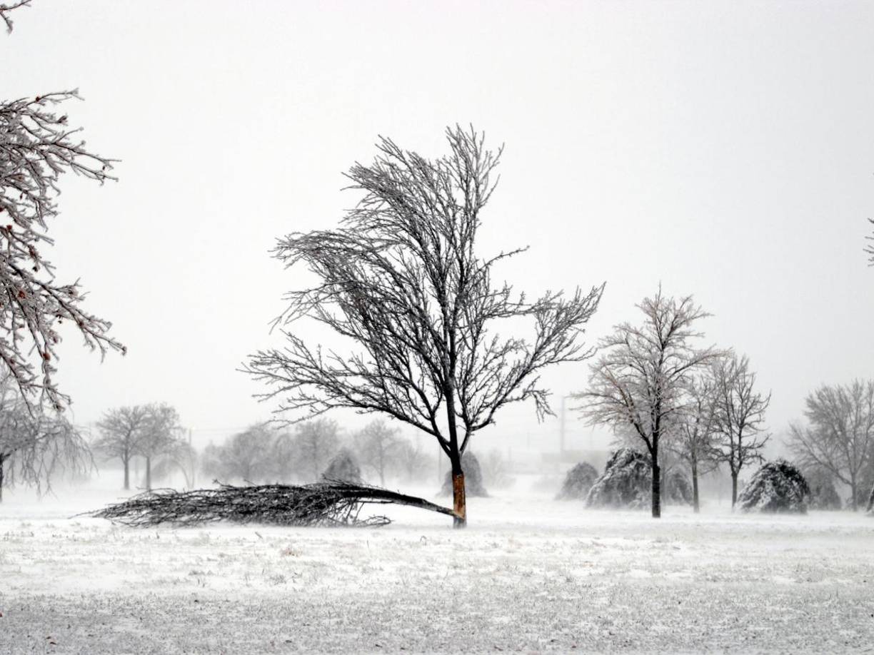 Además de la nieve, a medida que la tormenta avanza se van sumando zonas a la alerta por frío extremo, que ya abarca una amplia zona desde Nebraska hasta el centro de Florida, donde se suelen registrar temperaturas más cálidas.