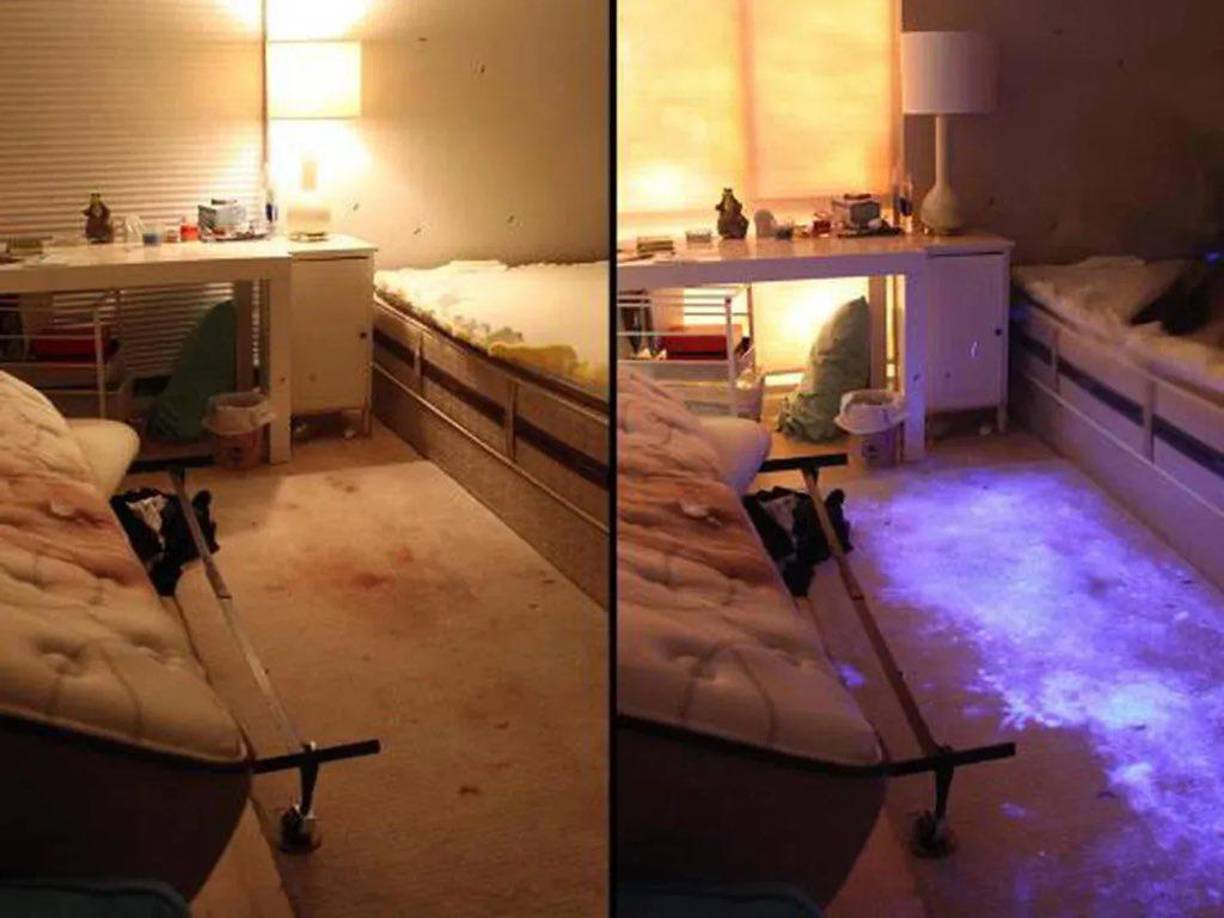  Según un informe de la autopsia del condado de Los Ángeles, a Kasian le faltaba el cuero cabelludo, lo que dejaba su cráneo expuesto.