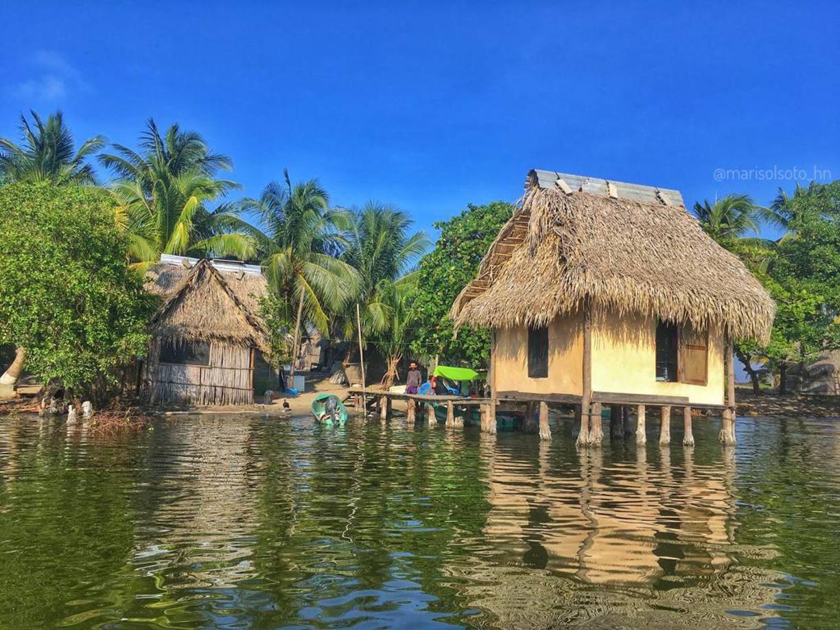 Laguna de los Micos es llamada así porque en su entorno viven muchos micos (monos) cara blanca y aulladores. 