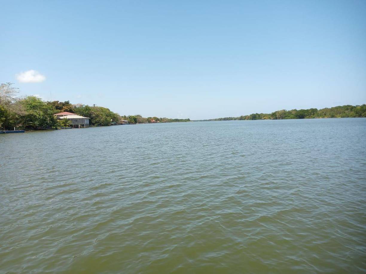 Este colegio se encuentra en la comunidad de Palacios, en el municipio de Juan Francisco Bulnes, muy cerca de la laguna de Bacalar, un refugio de vida silvestre, hábitat del manatí, especie en peligro de extinción.