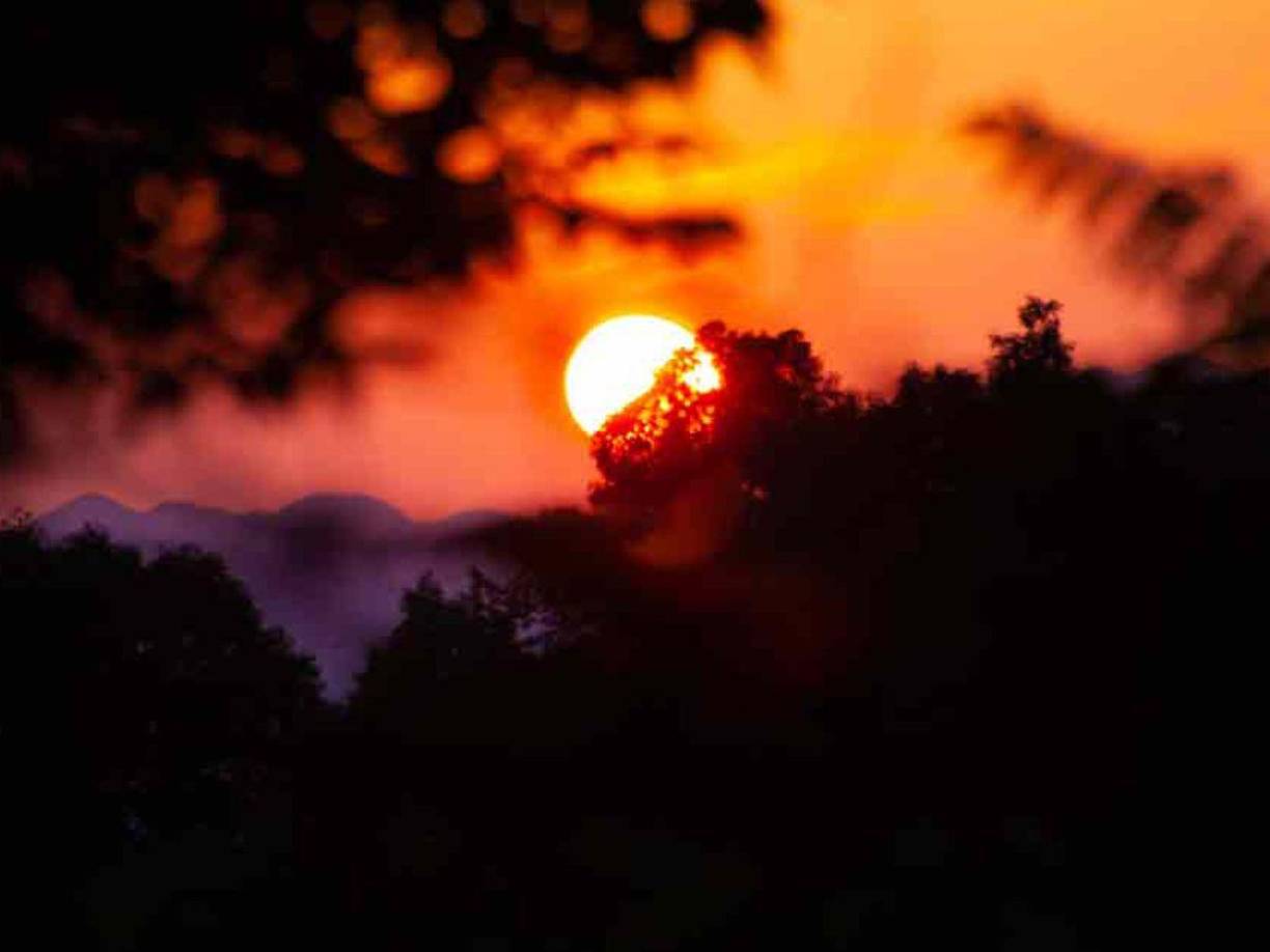 Roberto Carías, experto hondureño en astronomía, mencionó que en el territorio nacional estos días serán notorios, pero no tanto como en los países cerca de los trópicos. 