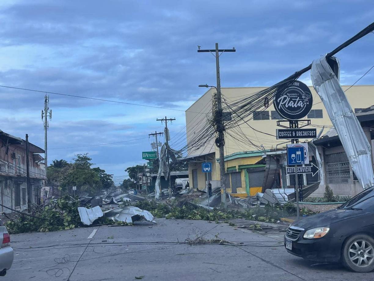 Los árboles que adornaban las aceras de la ciudad también fueron derribados. 