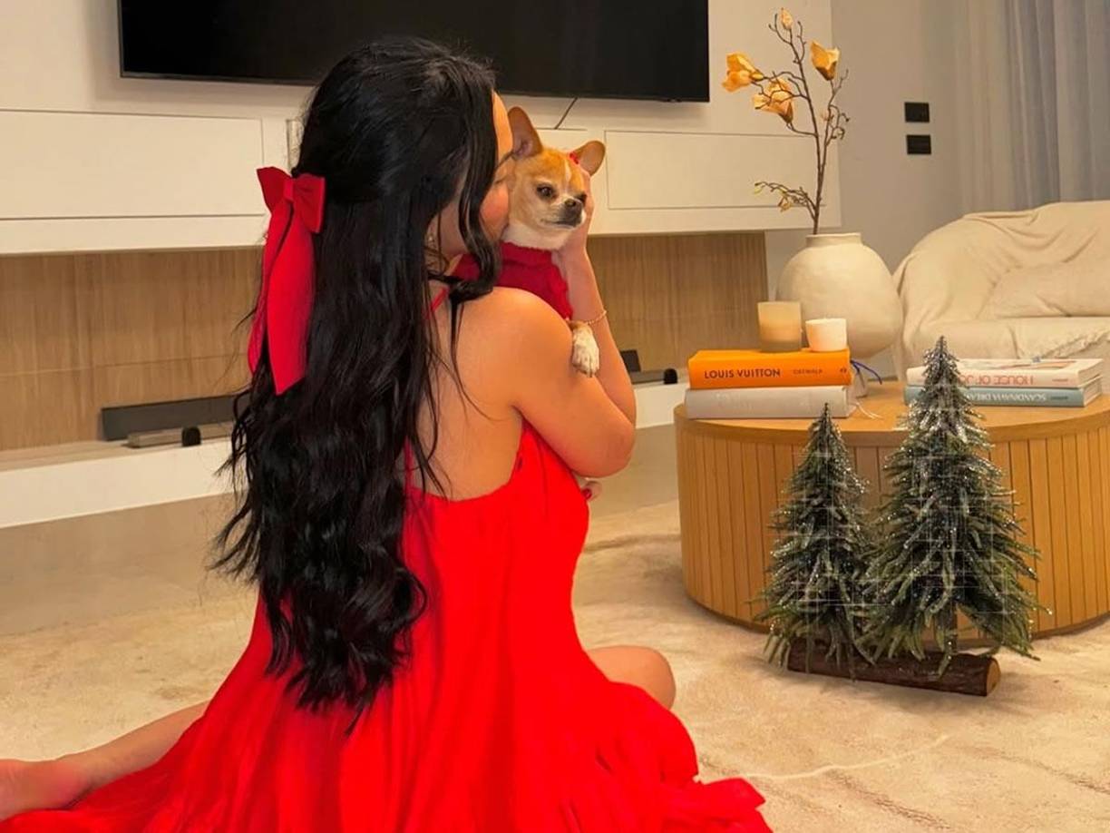 Dayana enfrenta una serie de desafíos antes de regresar a Brasil. Según explicó, uno de los temas que aún debe resolver es la logística relacionada con su mascota, lo que ha retrasado su salida: “Tiene un perro, y que los papeleos no son fáciles y requieren un tiempo”. 