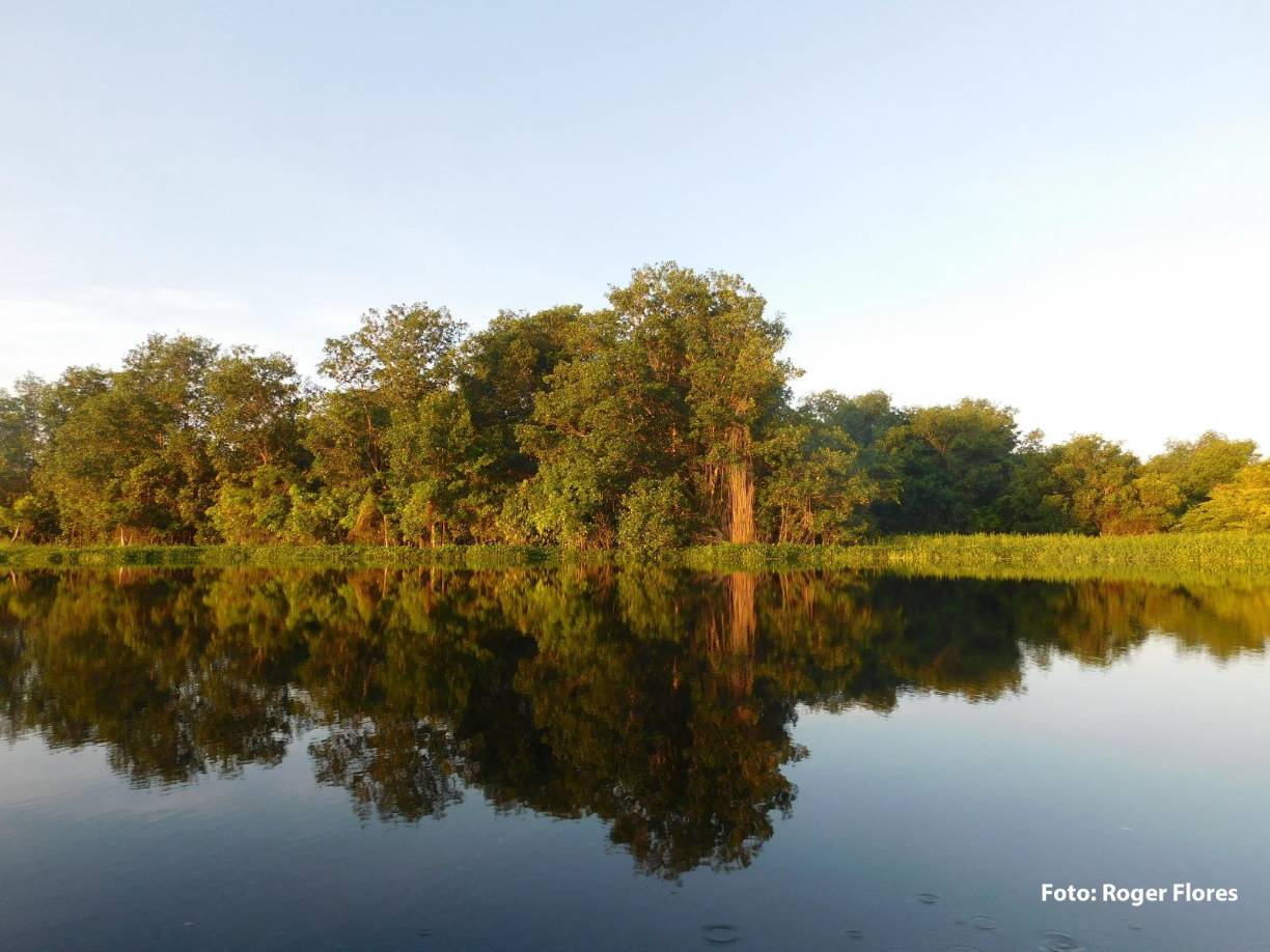 <b>También se podrán conocer los efectos del cambio climático sobre las aves tropicales de Mesoamérica, como compartir en espacios marinos-costeros entre humanos y aves, e instruirse como generar espacios atractivos para las aves, sean estos espacios en la ciudad, áreas de playa o montaña.</b>