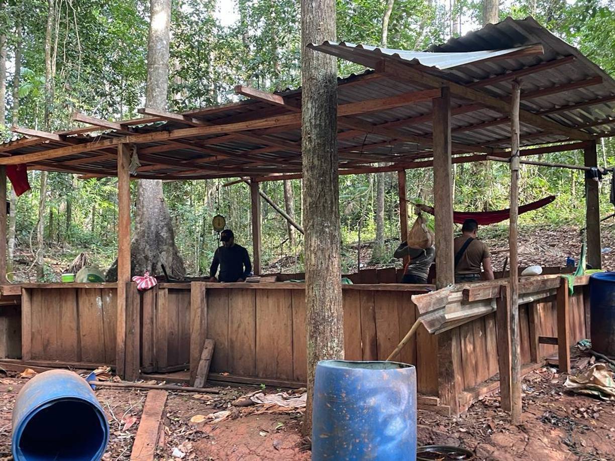 La operación antinarcóticos fue apoyada por las Fuerzas Armadas, con la dotación de helicópteros para la movilización del personal de investigación.