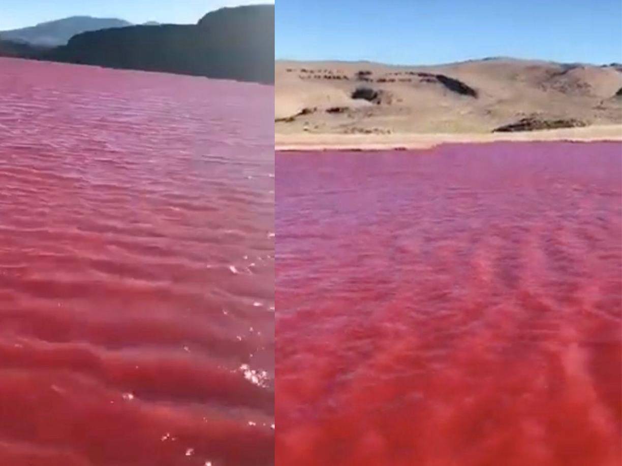 El río Nilo se tiño de color rojo y este suceso ha llamado poderosamente la atención de los habitantes que residen en las cercanías de su cauce.