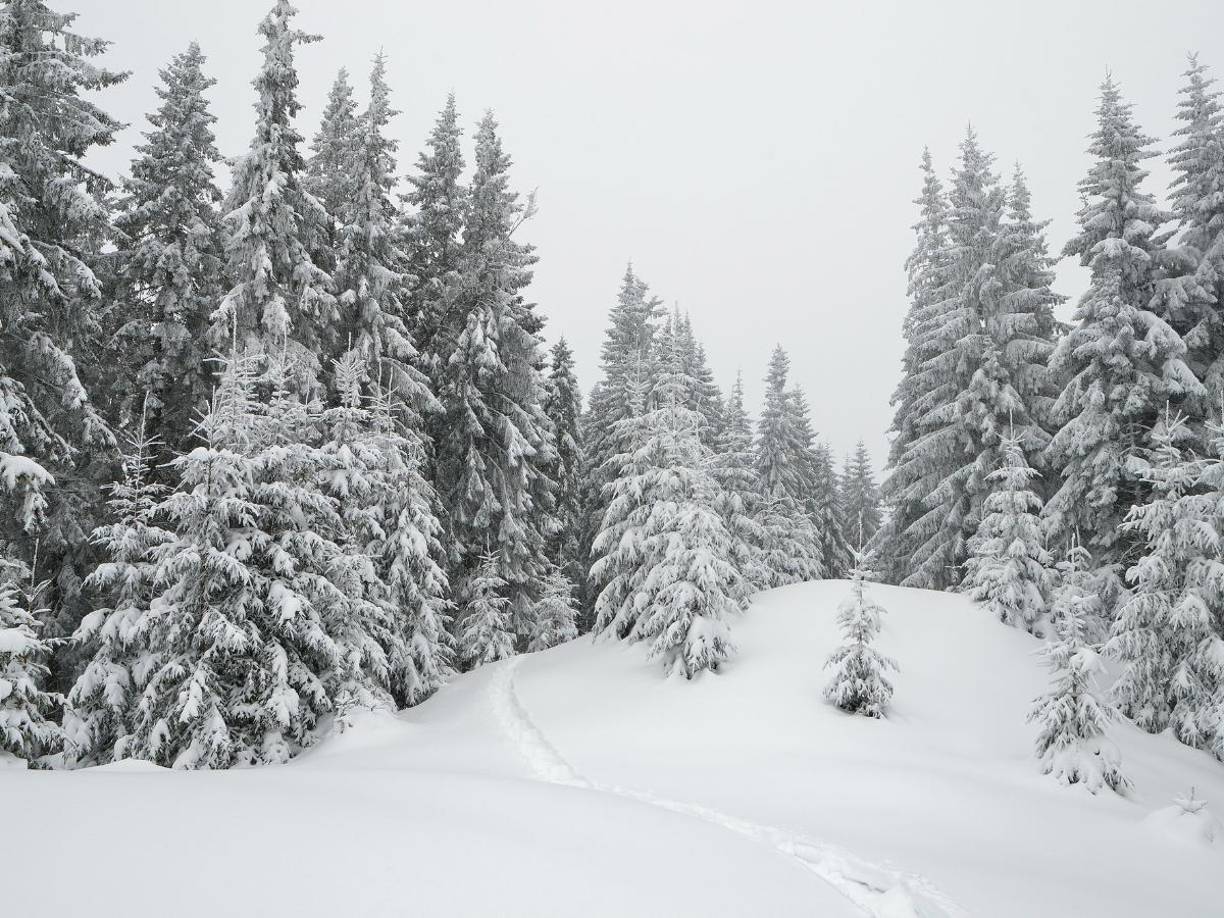 Cada estado puede decidir si elegirá los nuevos horarios del Daylight Saving Time (DST) o se quedarán con el estandar.