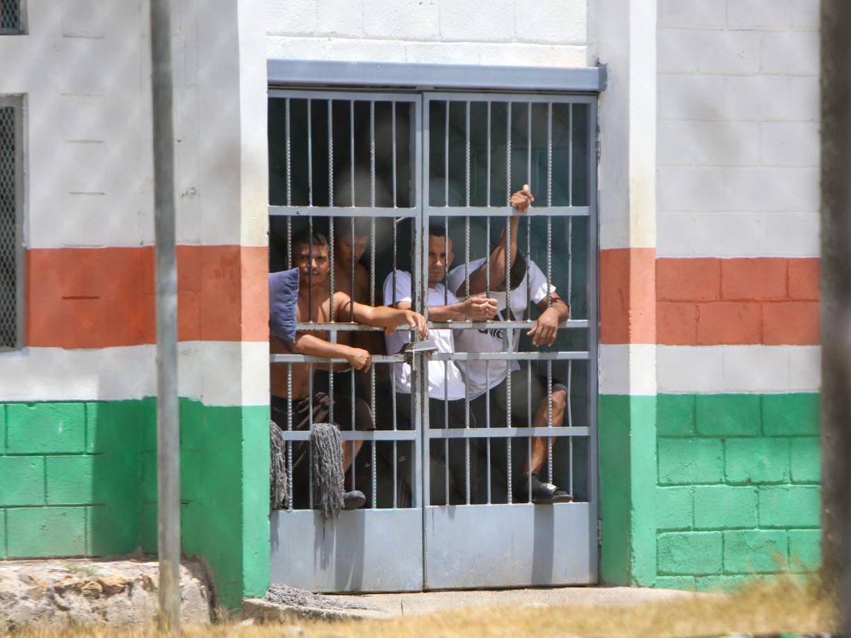 Un año después de la intervención de la Policía Militar, el Centro Penitenciario de El Porvenir, Siria ha experimentado cambios significativos en su estructura y dinámica interna. Aunque se han implementado mejoras notables, los desafíos persisten para las autoridades penitenciarias. LA PRENSA Premium realizó un recorrido por el centro penal para evaluar los cambios y los retos que aún enfrentan. A continuación, se detallan los hallazgos más relevantes.