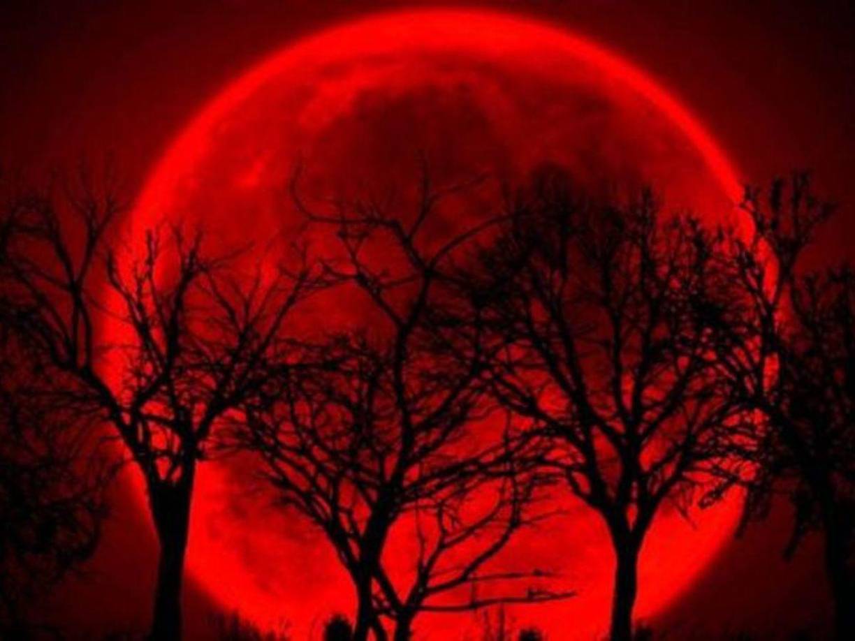 Según expertos en astronomía, este fenómeno de eclipse lunar parcial durará más de cuatro horas en los cielos.