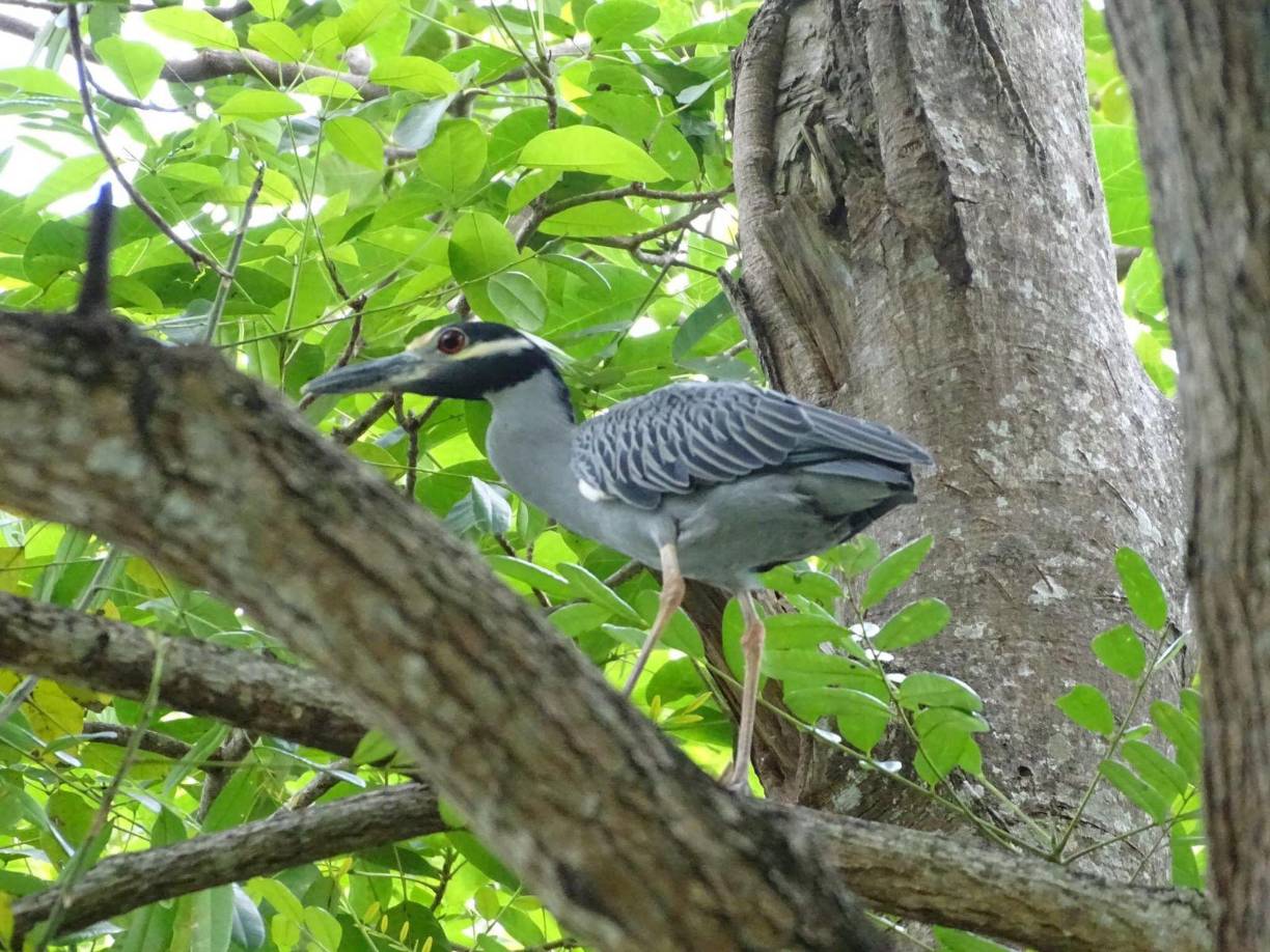 nuestra misión es compartir con quien quiera apreciarlo, este pequeño lugar con su belleza natural, y agregarle un poco de tradiciones.