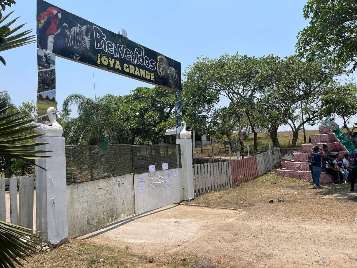 Joya Grande se encuentra en el municipio de Santa Cruz de Yojoa y por muchos años ha sido un atractivo para cientos de turistas por la diversidad de animales que alberga. 