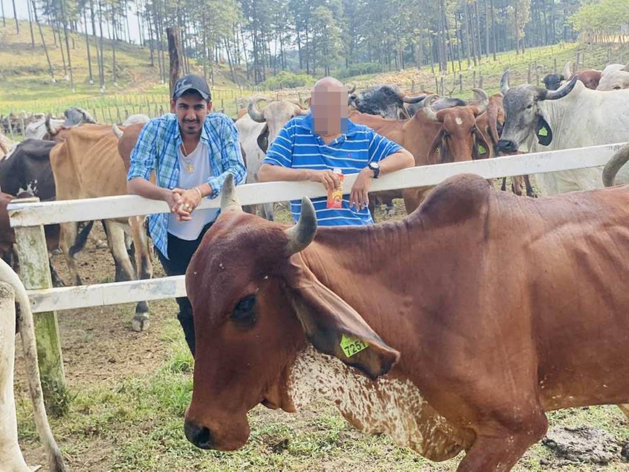 En las redes sociales Saúl Martínez presumía su extenso ganado.