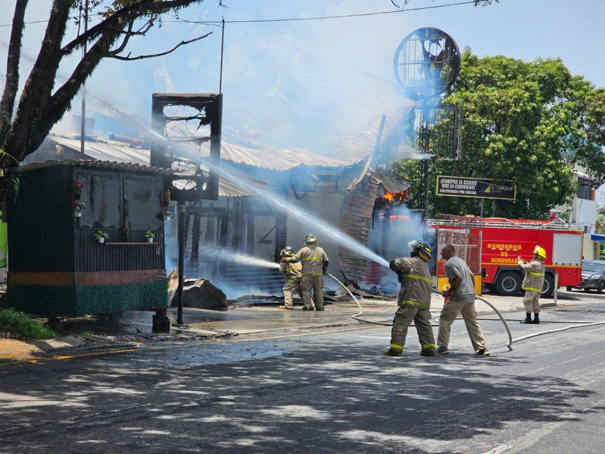 El Cuerpo de Bomberos desplegó unidades para apagar las llamas. 