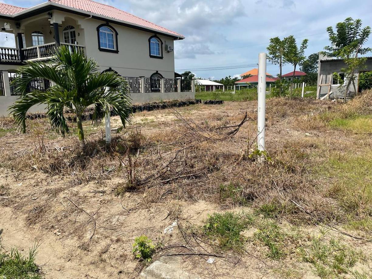 Dos terrenos que Bonilla posee en Tela, Atlántida, pasaron a manos de la Oficina Administradora de Bienes Incautados (Oabi). 