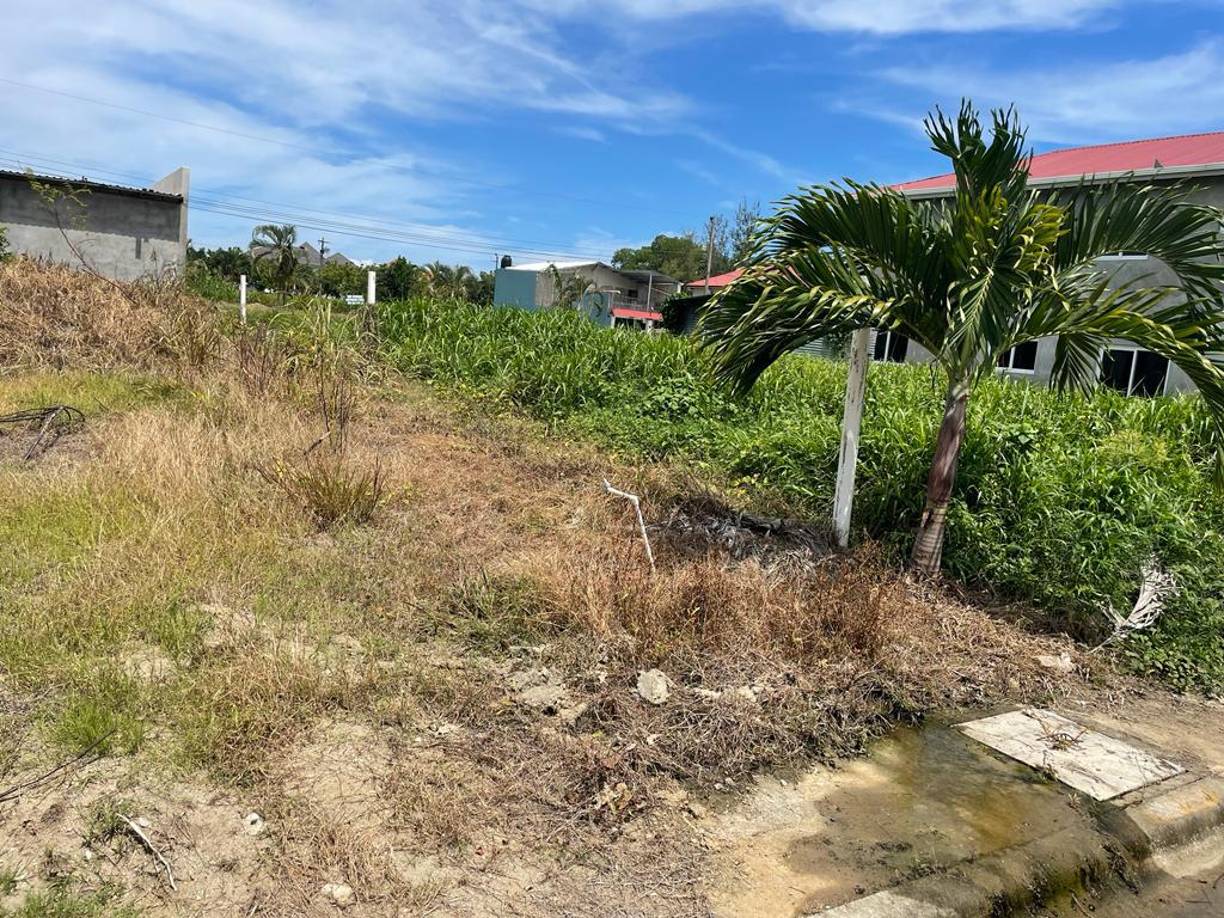 Las propiedades están en el municipio que sería el centro de operaciones de la banda delictiva "Los Halcones". 