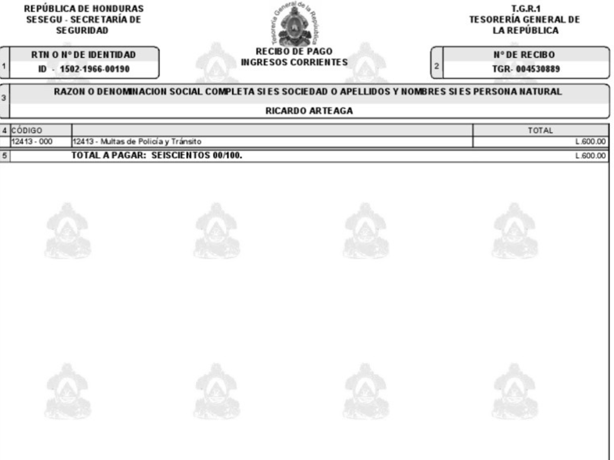 1. Realizar todos los pasos anteriores. Pagar un recibo TGR-1 por 200 lempiras similar al anterior.
