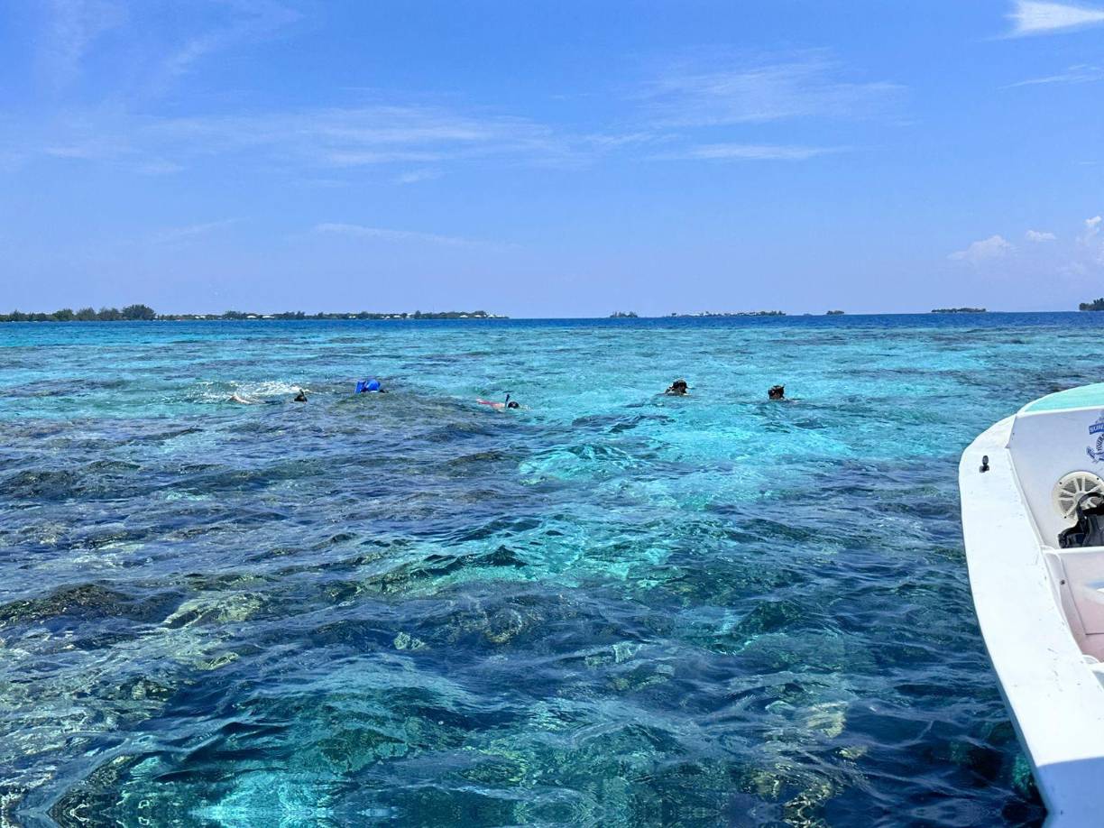“Utila es el lugar más bello del mundo, Colón desembarcó aquí sus naves atraído por su belleza”, explicó a Efe Bodden sobre la isla.