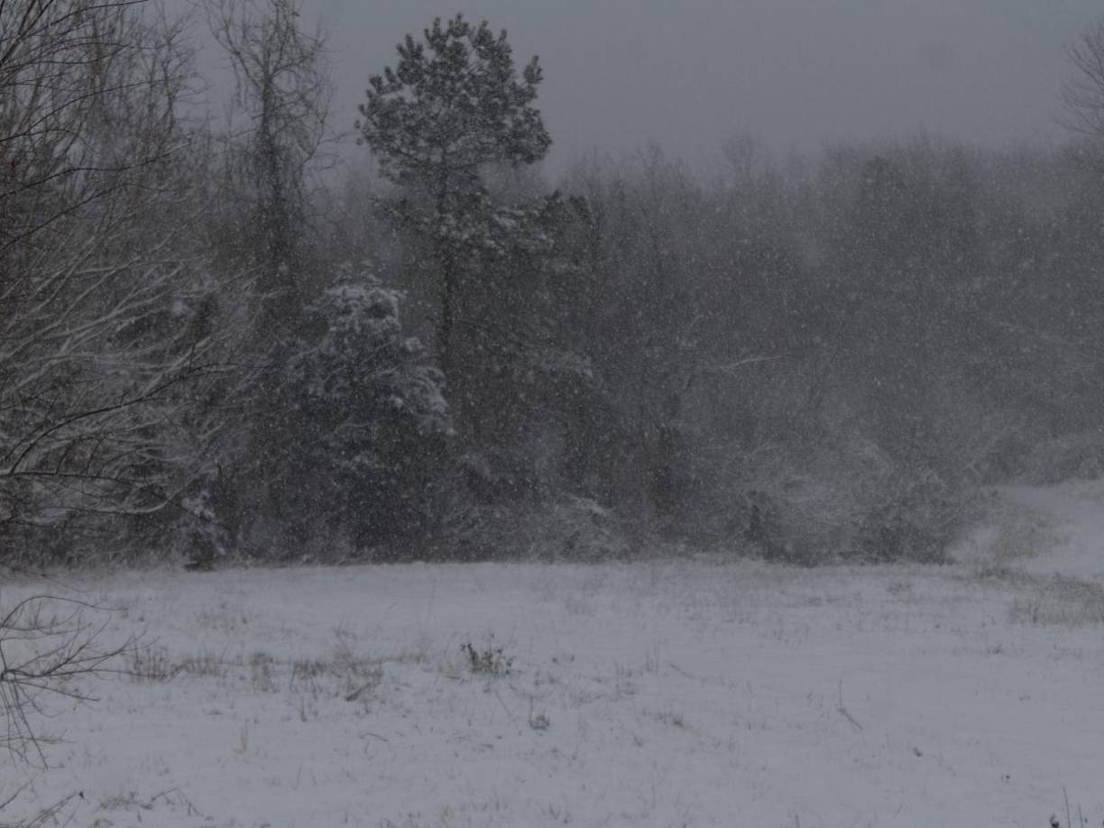 Según el Centro de Predicción Climática del Servicio Nacional Meteorológico, el flujo cruzado polar traerá aire frío hacia las llanuras del norte de Estados Unidos y el noreste, lo que podría generar tormentas invernales en la región de Buffalo y los Grandes Lagos, justo antes y después del Día de Acción de Gracias.