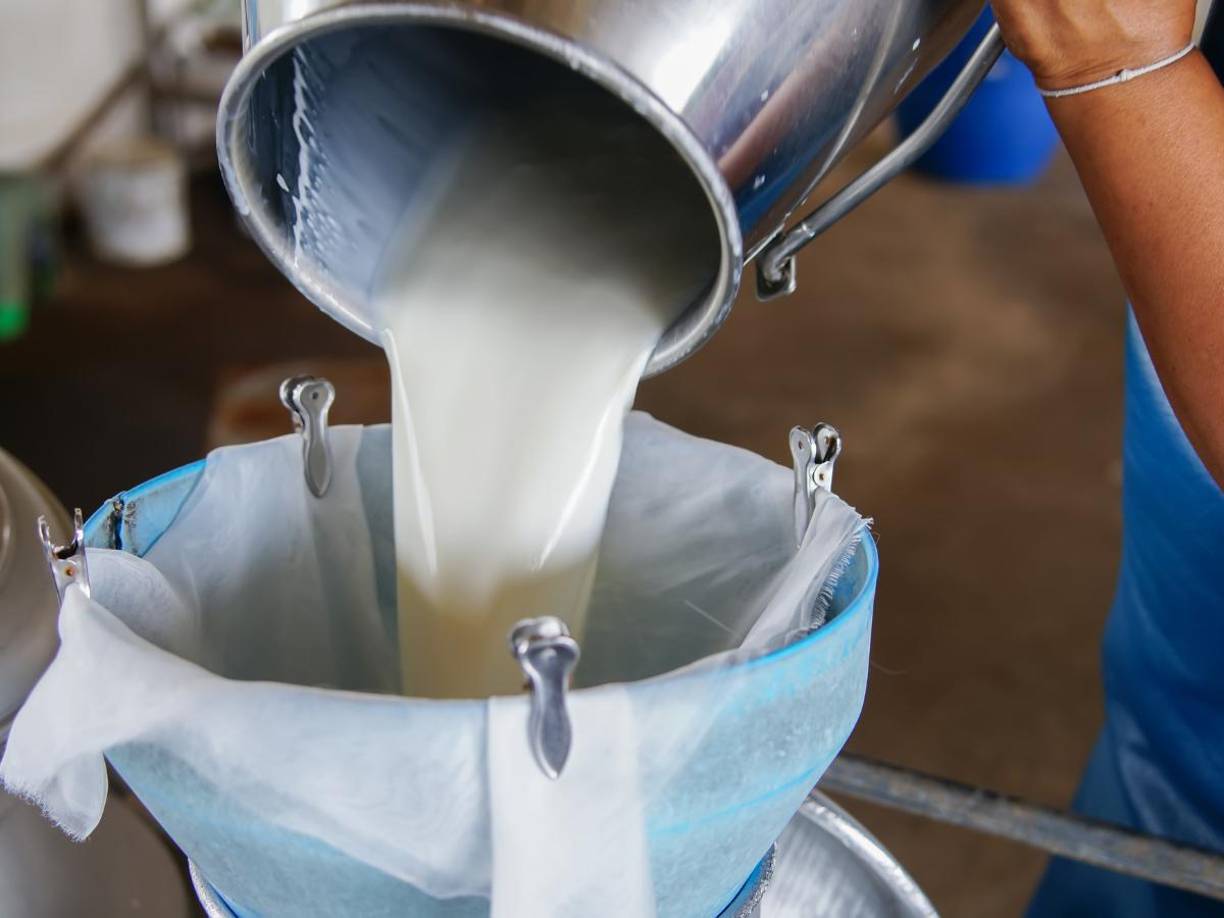 Según el rotativo angelino, hasta ahora no ha habido informes de enfermedades asociadas con la leche contaminada.