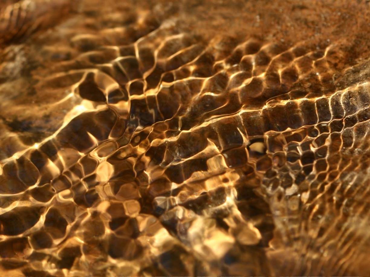 Según Chen Rulin, experto en prospección minera, este yacimiento supera en tamaño a South Deep, la emblemática mina sudafricana con reservas de 900 toneladas métricas, y redefine las expectativas globales sobre la minería aurífera.