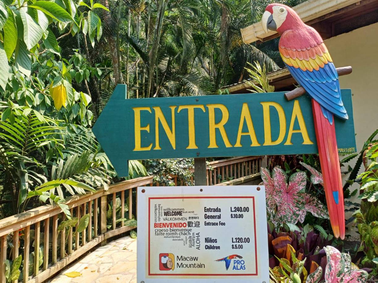 <b>La misión del parque es educar y generar la conexión entre los visitantes y los programas de rescate, rehabilitación y liberación de las aves bajo su cuidado, fomentando la conservación del patrimonio cultural y natural y promoviendo una sociedad responsable con su ambiente. El costo de entrada es de L240.</b>