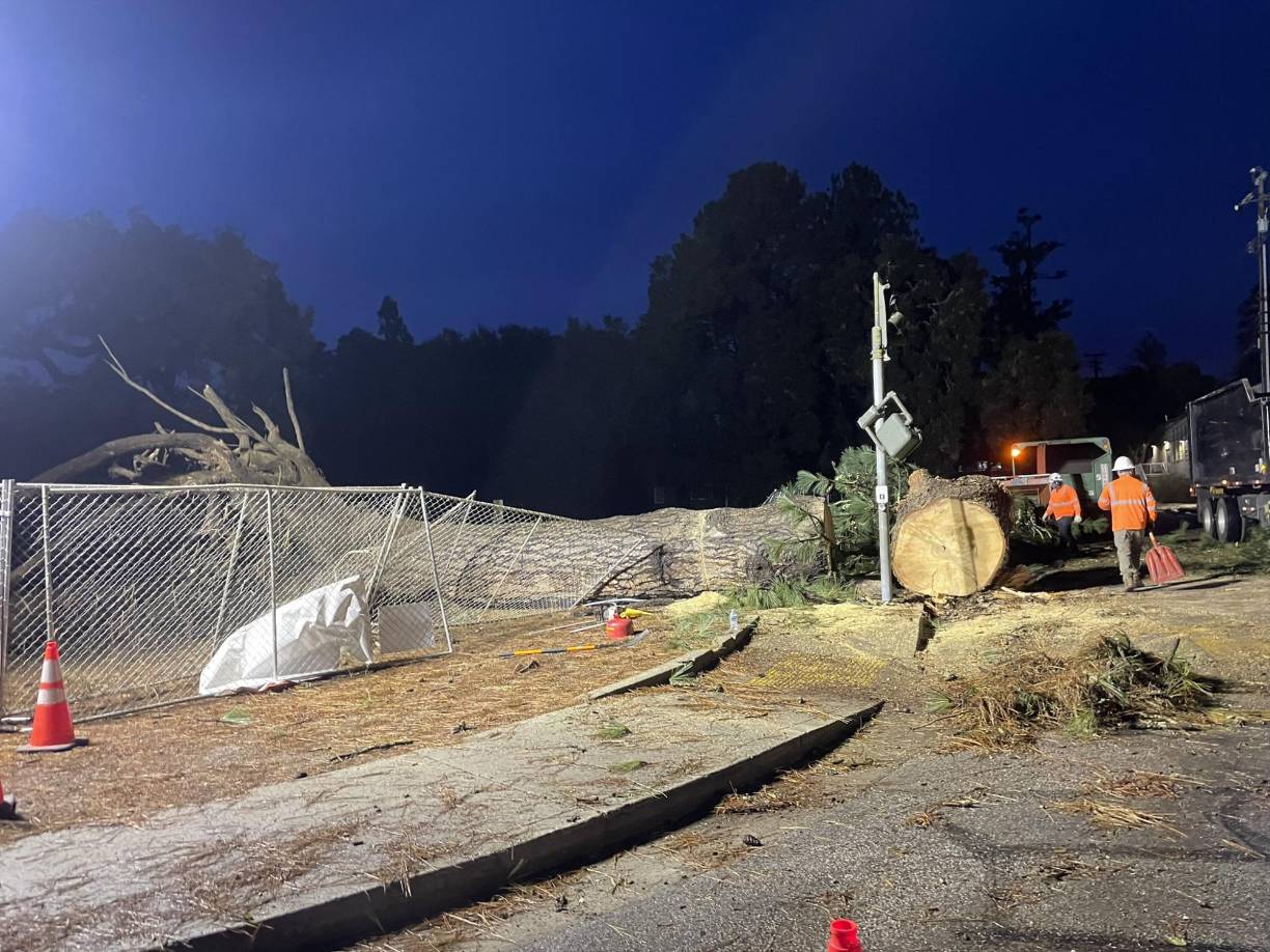 Una tormenta invernal afectó el fin de semana varias zonas del norte de Estados Unidos, dejando fuertes nevadas, lluvias y un tornado.