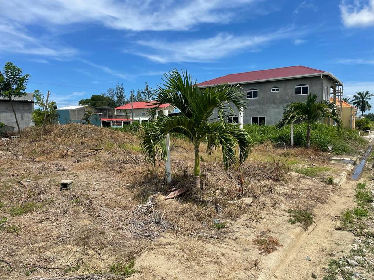 Según una acusación de la fiscalía, se involucró en el tráfico de drogas desde hace siete años y actualmente es uno de los lideres. 