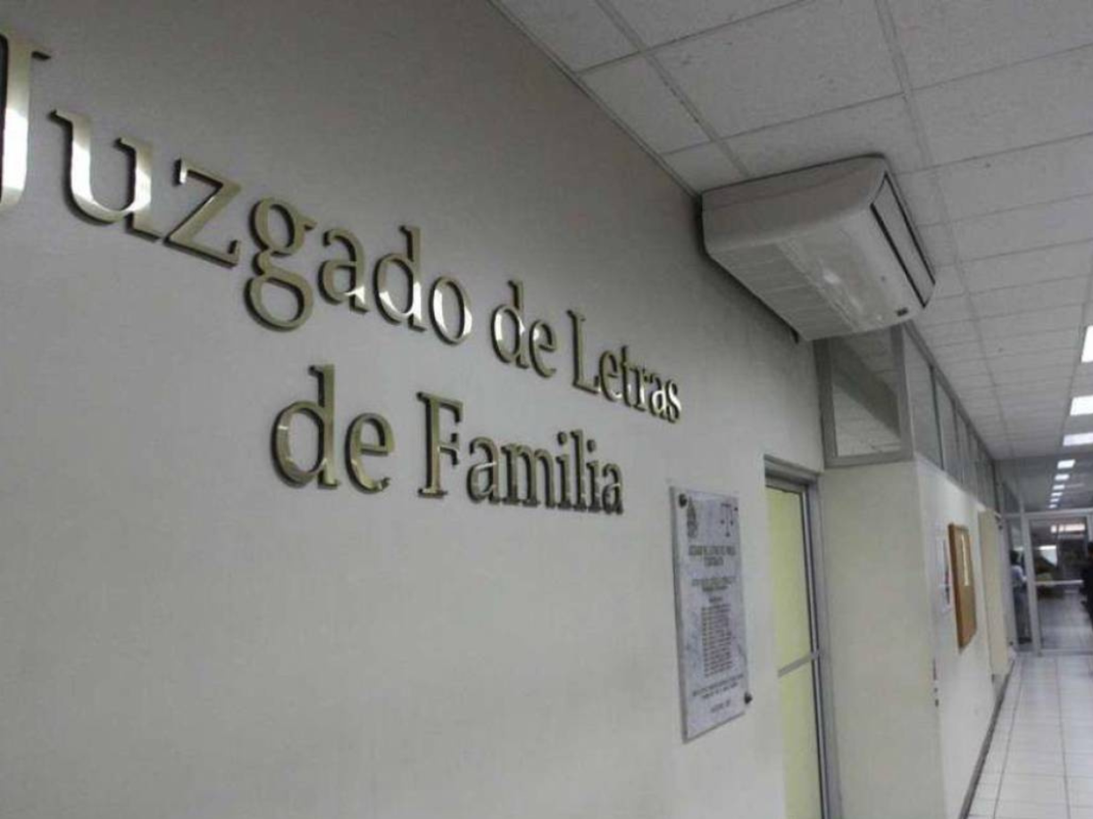 1. Iniciar un juicio de divorcio en el Juzgado de Familia y ganarlo.