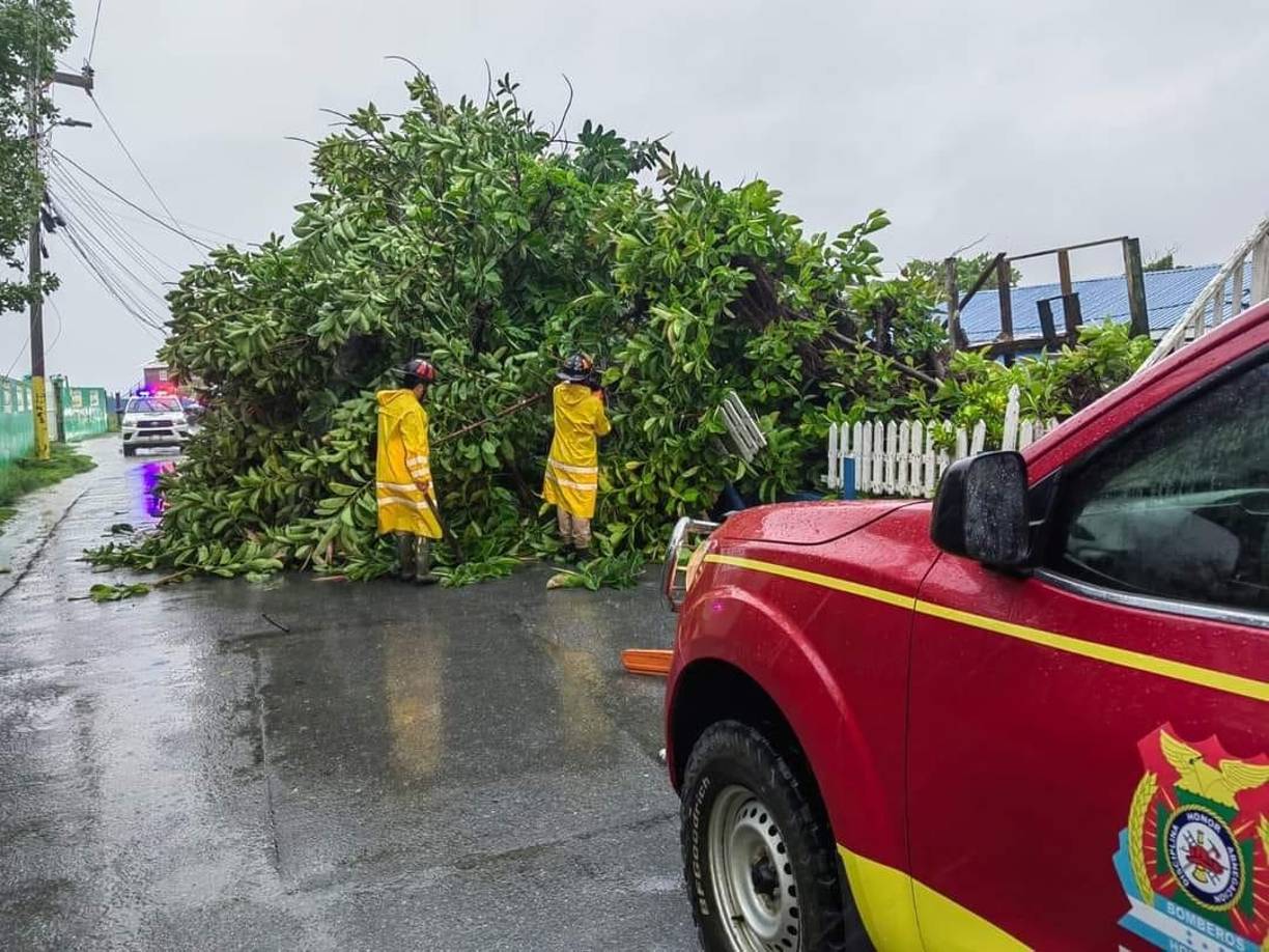 Los vientos arrancaron árboles, por lo que bomberos se movilizaron de inmediato para habilitar la circulación de vehículos en calles y carreteras de La Ceiba. 