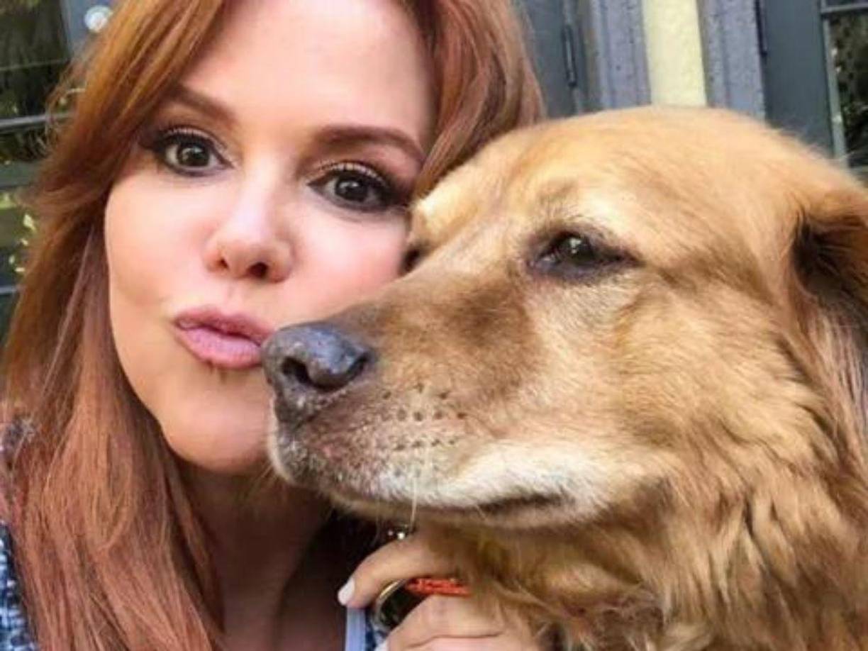 “Nuestra Nena ya está en el cielo de los perritos”, escribió la periodista. “Nos deja tristes pero agradecidos por los 14 años de amor incondicional que nos dio”.