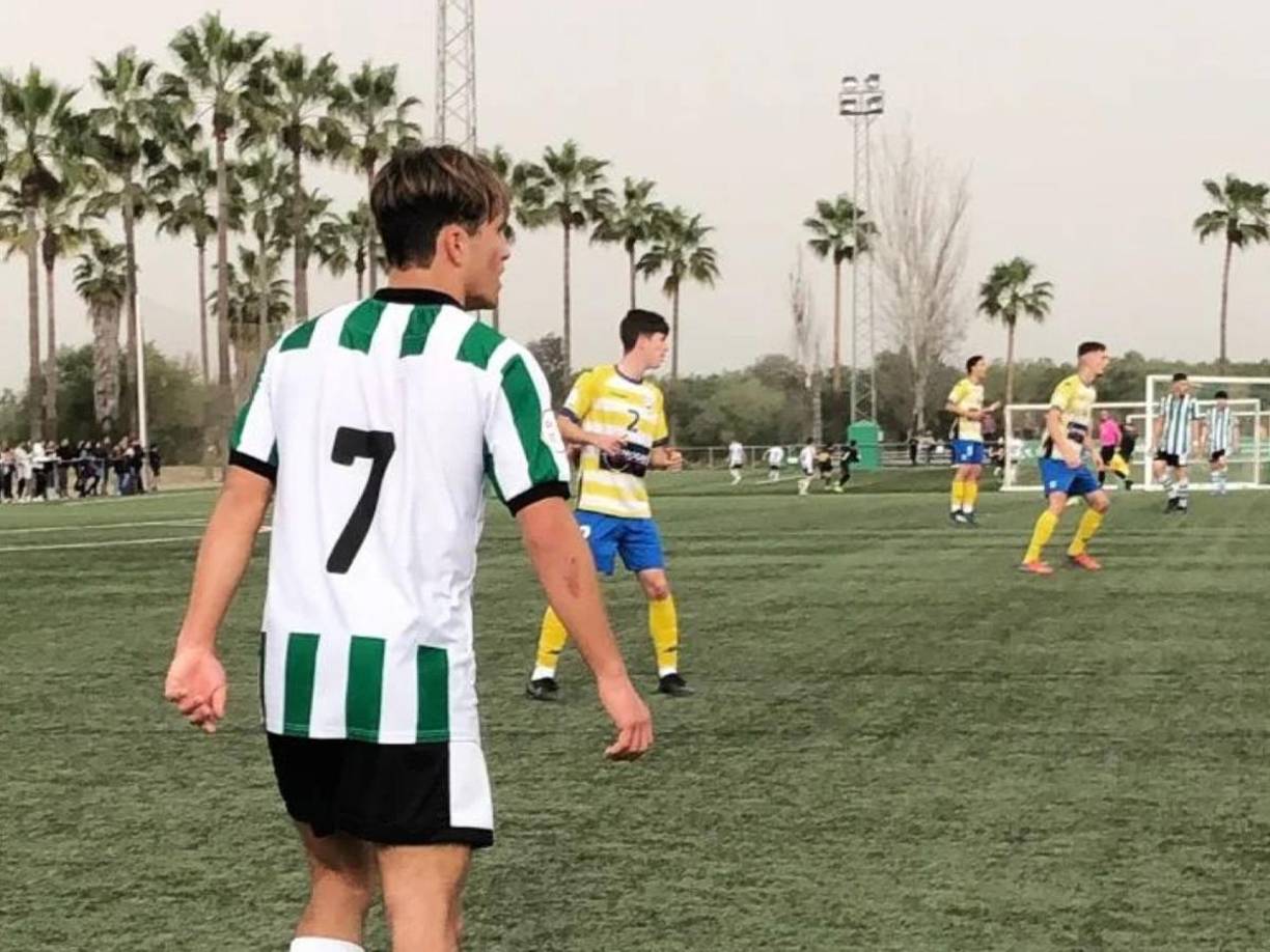 El diario español El Mundo informó que unas cámaras de vigilancia de una gasolinera cercana a la zona de los talleres de la estación de Santa Justa mostraron a Álvaro en el techo del tren. “El joven se agarró a la catenaria, se electrocutó y cayó entre los vagones del tren donde quedó atrapado”, señalaron.