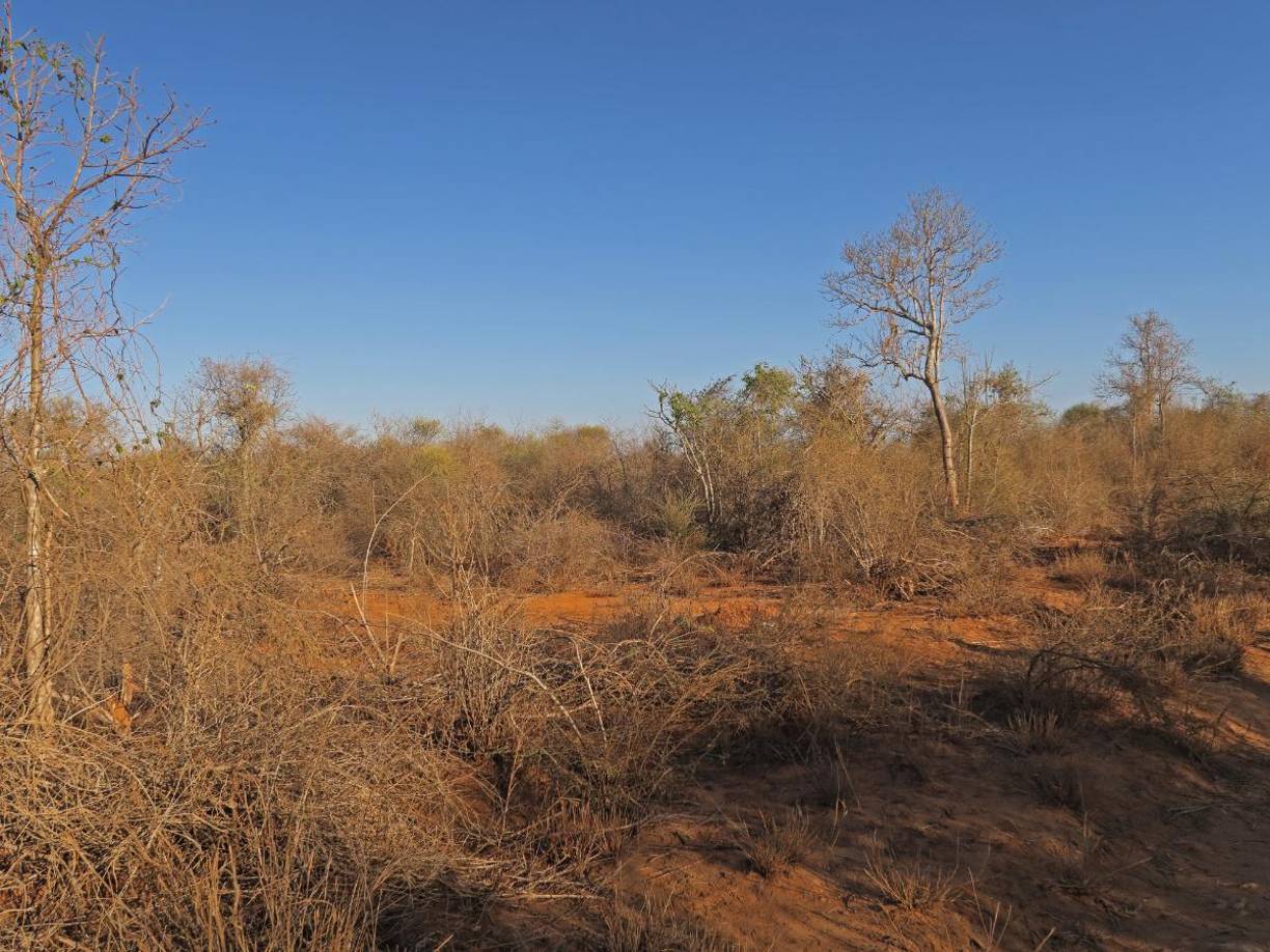 Los asesinos tenían 21 y 17 años de edad. Soto Veliz fue puesto bajo una fianza de de $500,000.