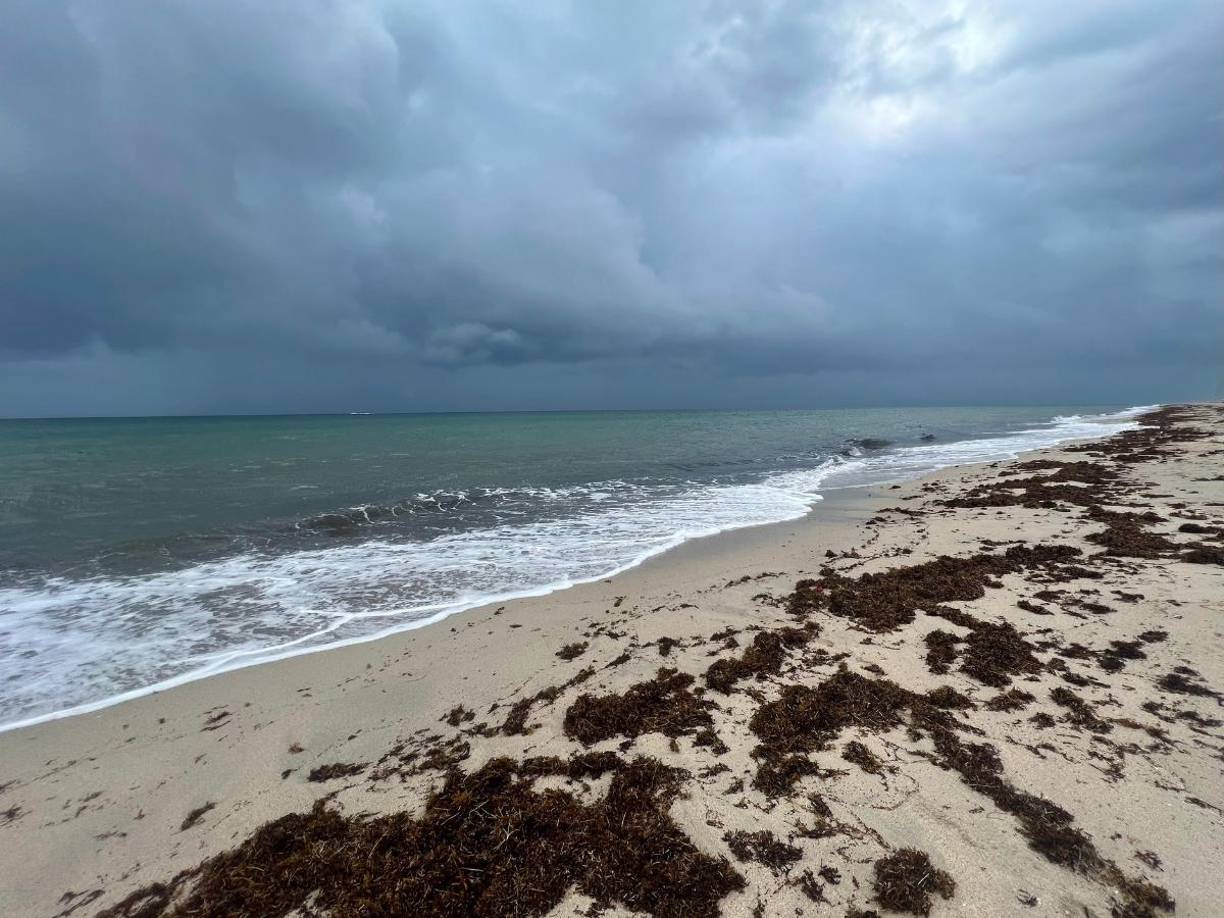 Aunque los escenarios para el impacto más allá de Centroamérica son inciertos, el NHC señaló que las marejadas ciclónicas y los vientos dañinos podrían extenderse a Florida, los Cayos de Florida y Cuba si el sistema se mantiene sobre el mar. 