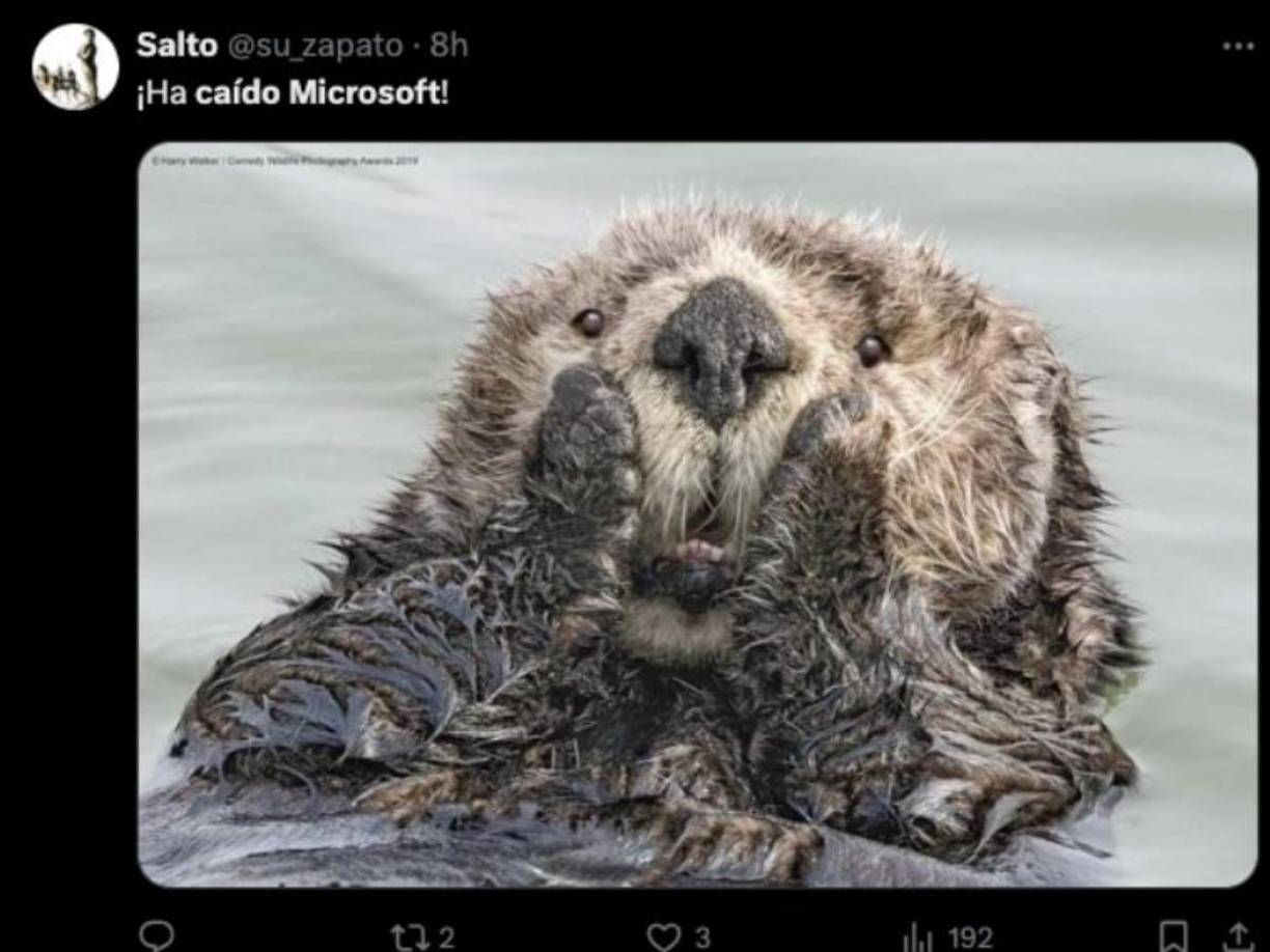 Microsoft sufre caída global: usuarios reportan problemas en todas sus plataformas