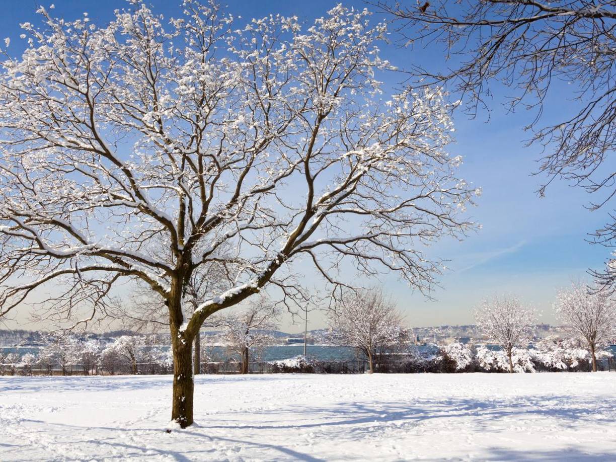 En el oeste de Nueva York, zonas como Erie, Chautauqua y Cattaraugus han experimentado intensas nevadas por el efecto lago, acumulando varios metros de nieve en las últimas semanas. 