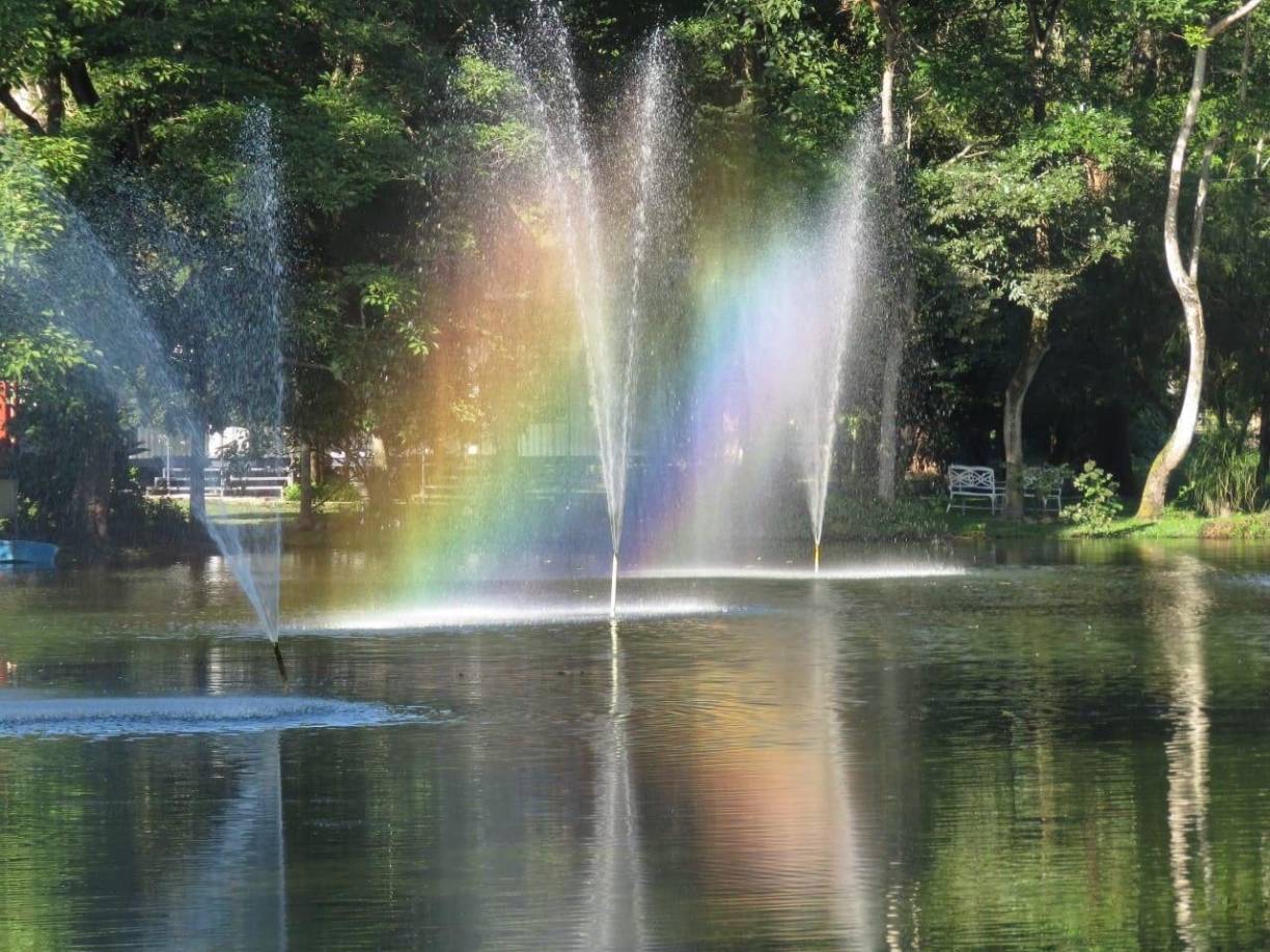 Este bello lugar se encuentra al final de bulevar Los Alamos III Etapa en San Pedro Sula. Tel: 2551-3380 / 9998-3540<br />