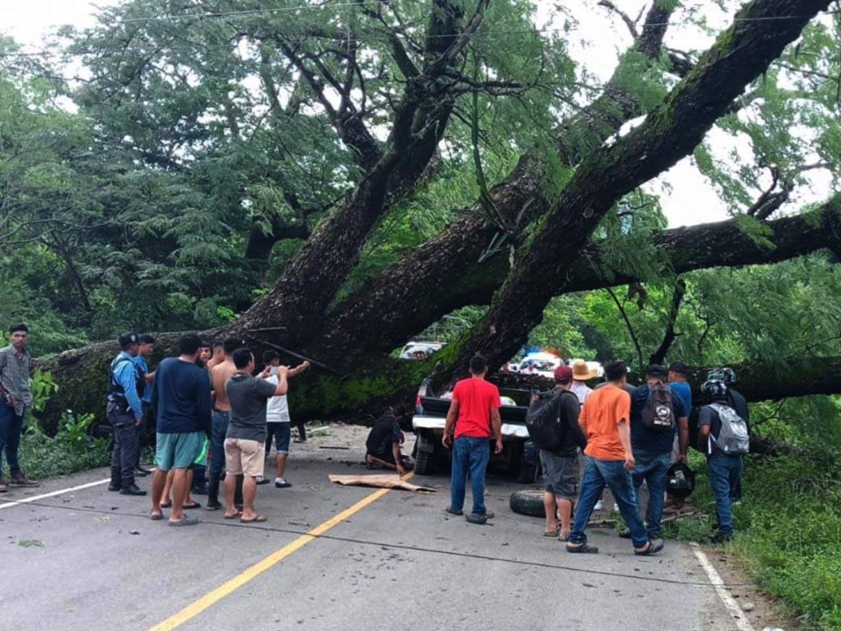 Tres personas resultaron muertas y una jovencita de 17 años resultó herida luego de que un árbol le cayera encima a un pickup en marcha.