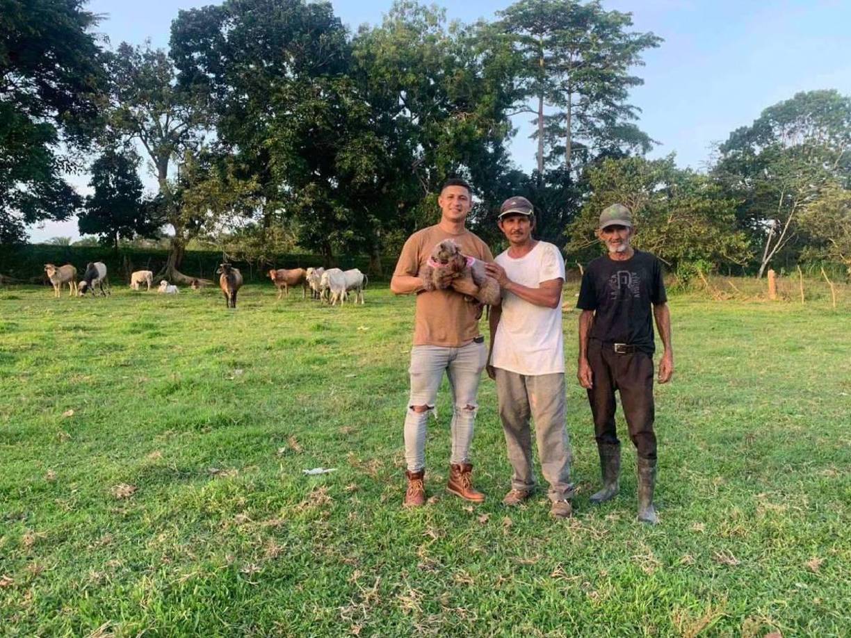 El también jugador del Motagua, Héctor Castellanos, recientemente dio a conocer que cuenta con dos negocios junto a su novia: una finca, que lo maneja su pareja, y el ganado en Tela, que lo hace “La Perrita” junto a su papá y abuelo.