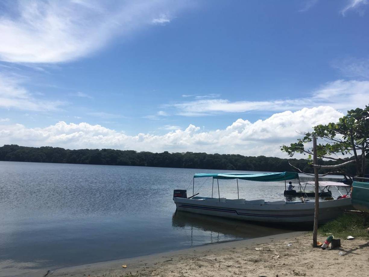 Usted podrá vivir esta maravillosa experiencia en una lancha que le permitirá explorar las riquezas de la laguna.