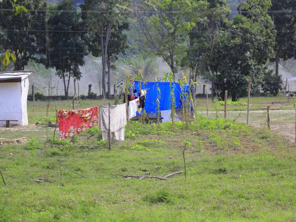 Los supuestos campesinos también han invadido terrenos incautados por la Oficina Administradora de Bienes Incautados (OABI). 