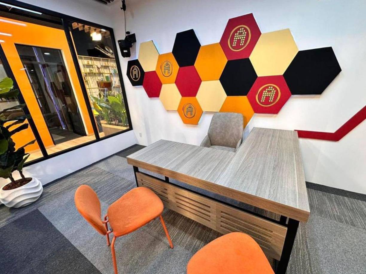 Estos son los salones de clases, aquí los académicos recibirán las lecciones de sus maestros. 