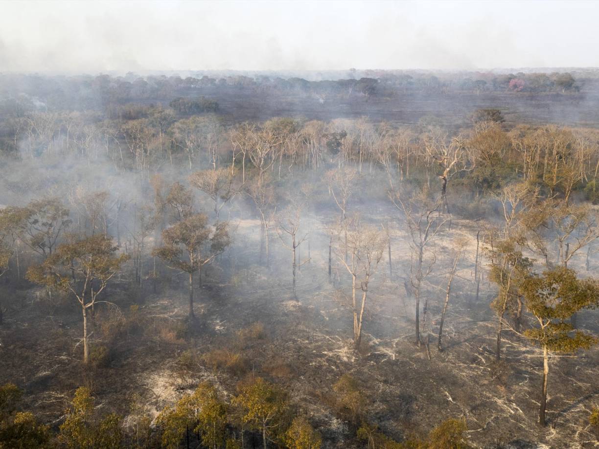 Expertos y autoridades coinciden en que los <b>incendios</b> actuales en el Pantanal, Patrimonio Natural de la Humanidad y conocido por su rica biodiversidad, están relacionados con el cambio climático que propició una intensa sequía en los últimos meses.